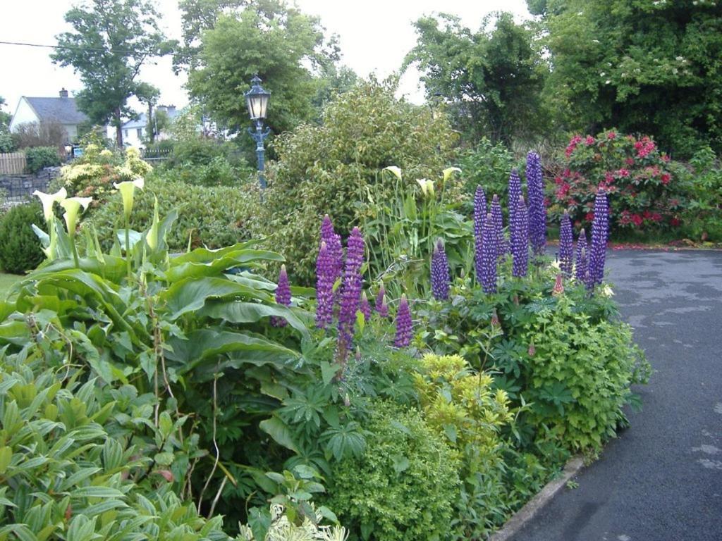 Riverwalk House B&B Oughterard Extérieur photo