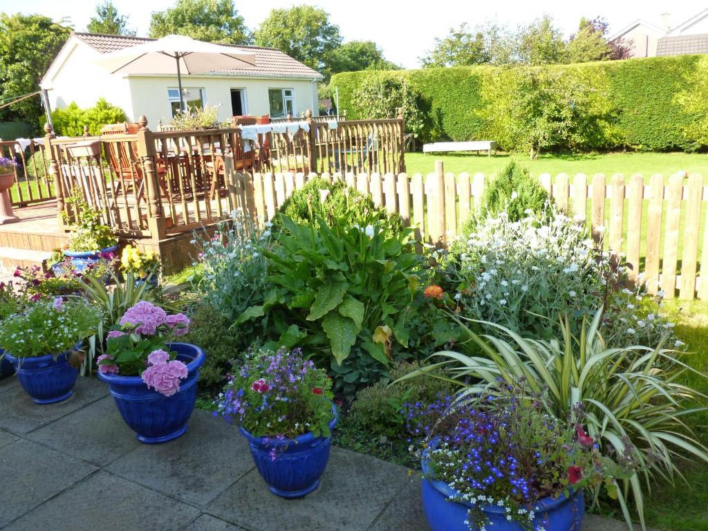 Riverwalk House B&B Oughterard Extérieur photo